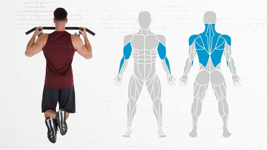Vilka muskler tränas under pull-ups?