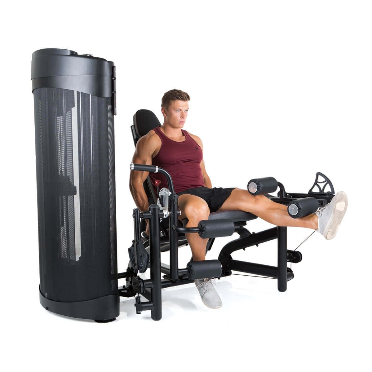 Biceps/Triceps Dual Station