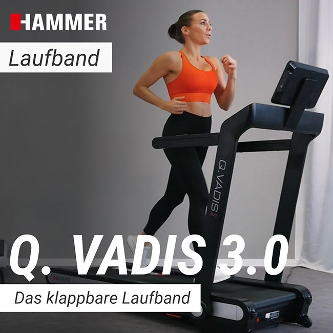 Q. VADIS 3.0